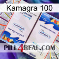 Kamagra 100 kamagra1